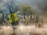 가을, 그 찬연한 느낌으로...