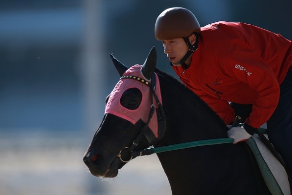 조교승인경주마술실기시험