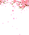 017E243950C8306619053D