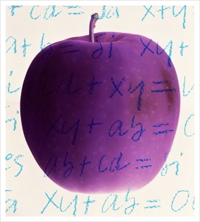 수컴퓨터 이미지