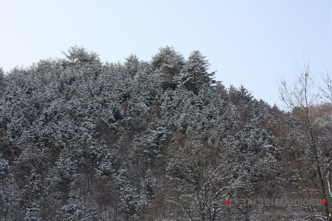 강원그릇 이미지
