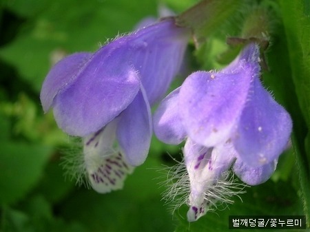 물통 2/ 손택수
