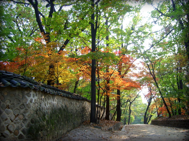 113444204AF2A2436B892D