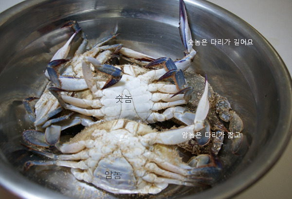 꽃게장 이미지