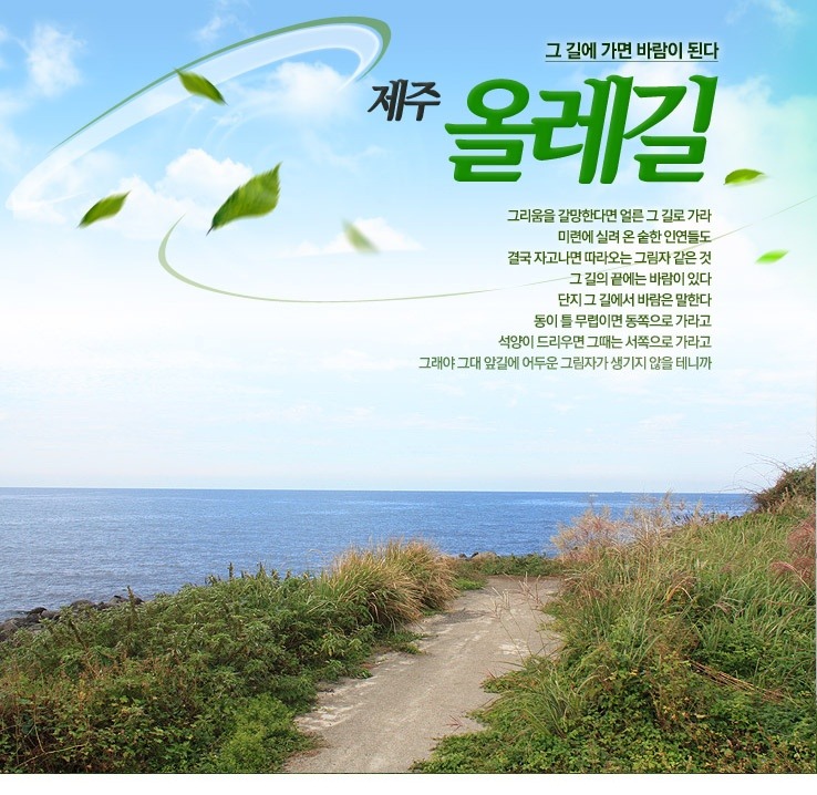 [김작가의 여행칼럼-5] 그 길에 가면 바람이 된다. <제주 올레길>