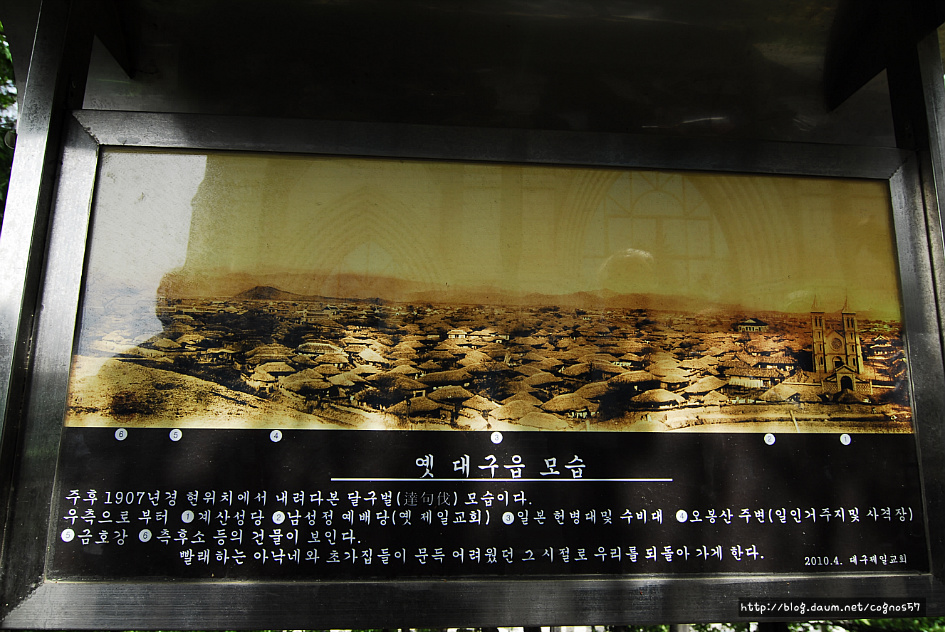 제일투어 이미지
