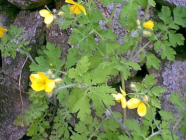 일과 성공이란...