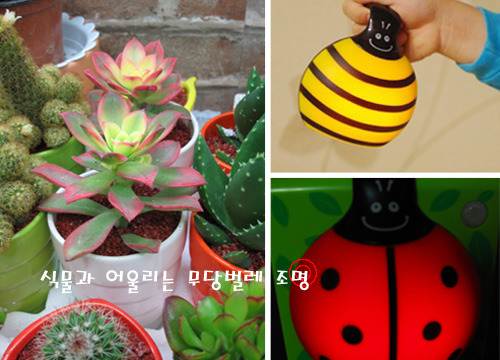 월페이퍼인테리어 이미지