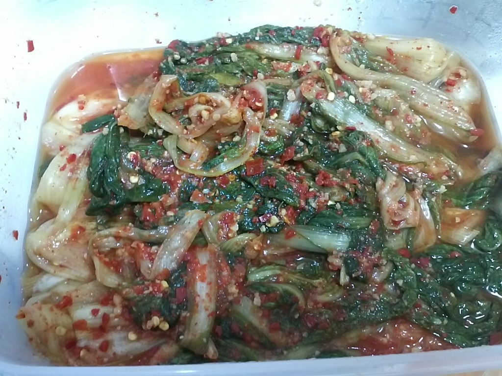 몸에 좋은 겉절이