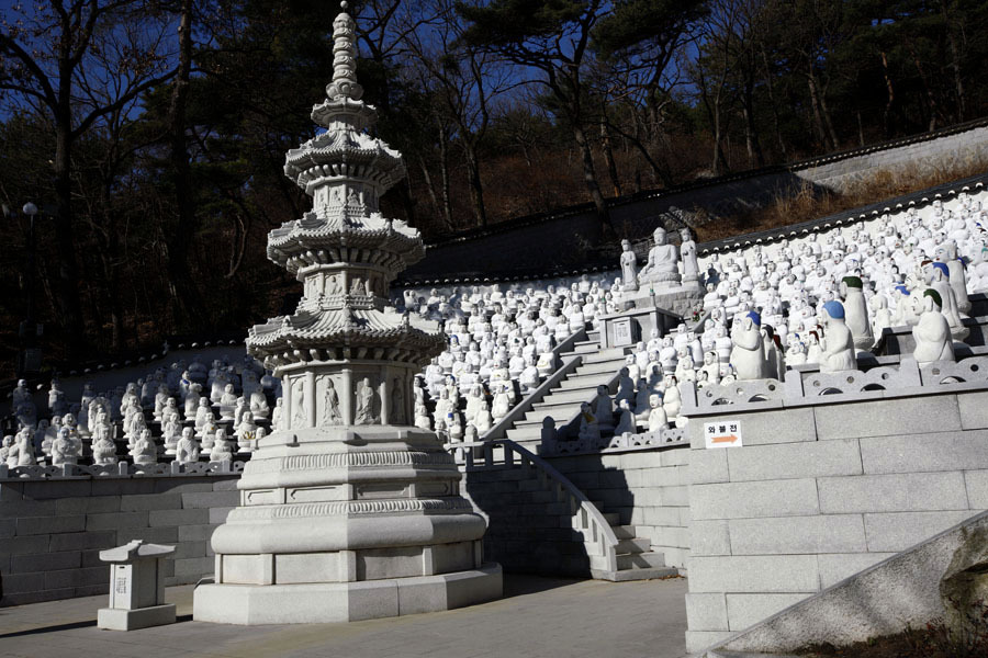 (주)파랑나무 이미지