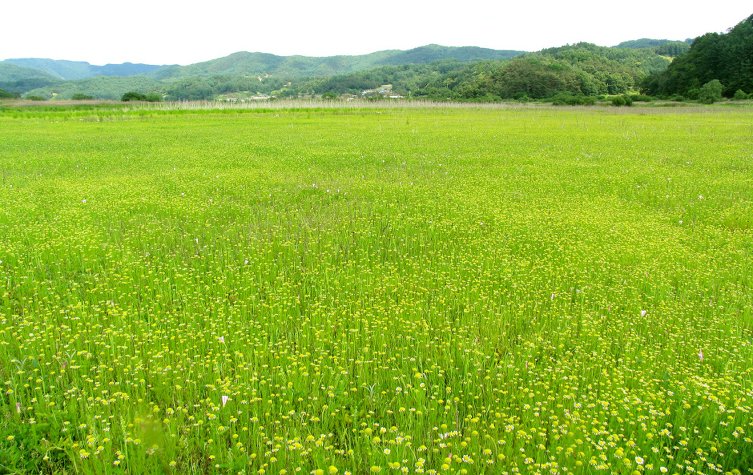 밝은동산 이미지