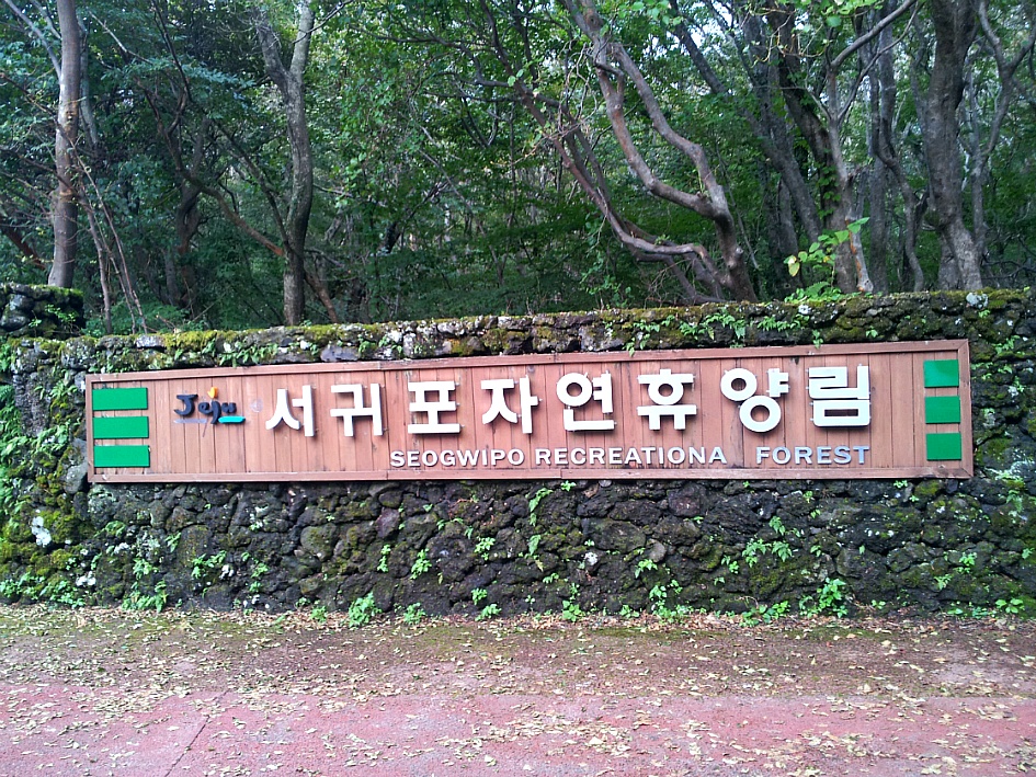 서귀포자연휴양림 이미지
