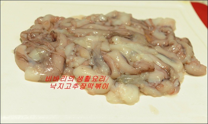 낙지고추장떡복이