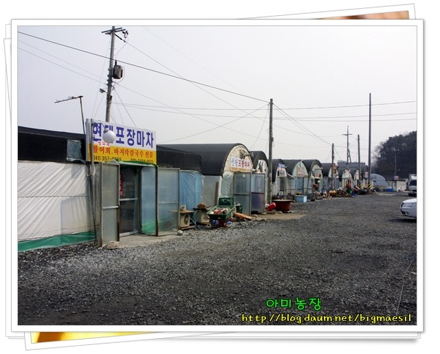 게눈감추듯 이미지
