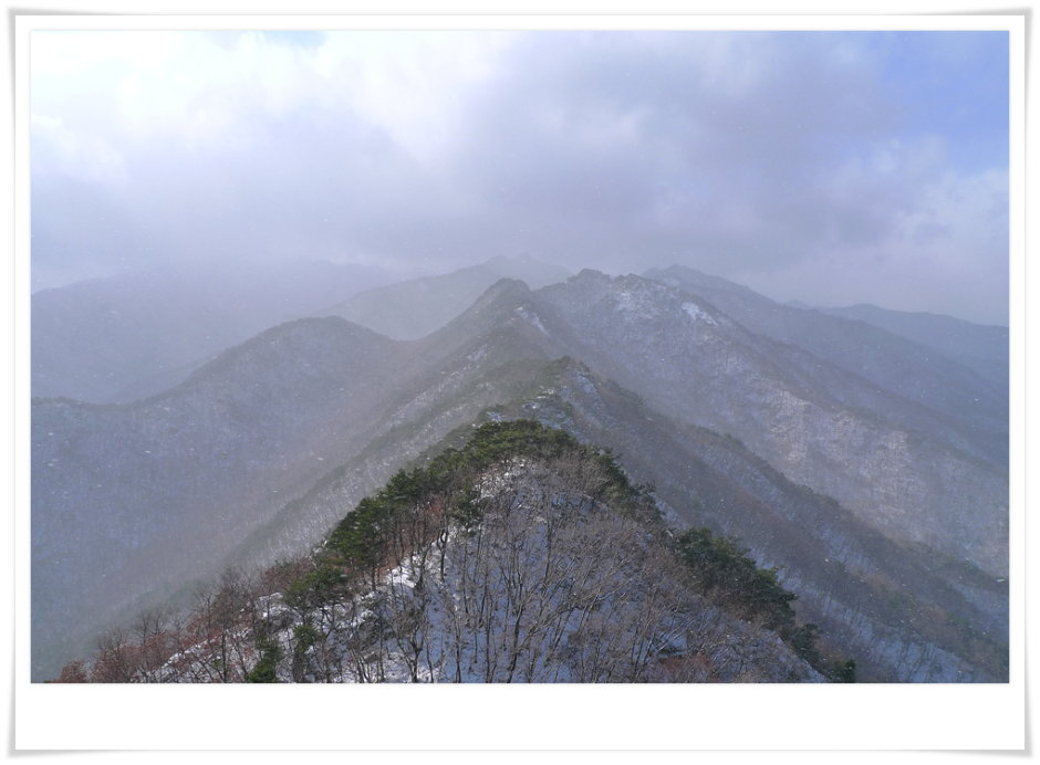 심우 이미지