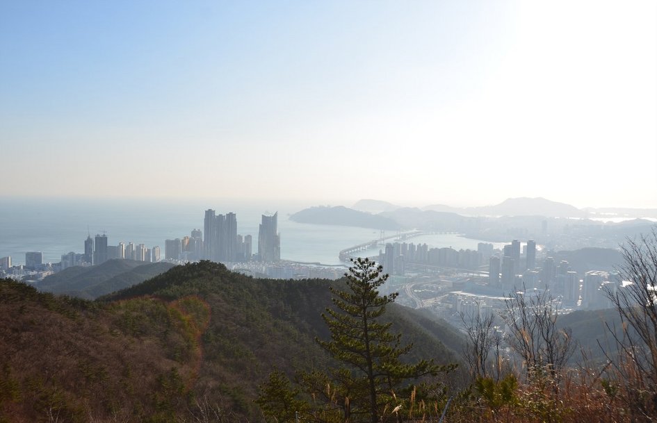 <465차>갈맷길12- 장산 너덜길