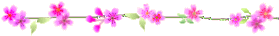 135A1A504F5DDF37155A19