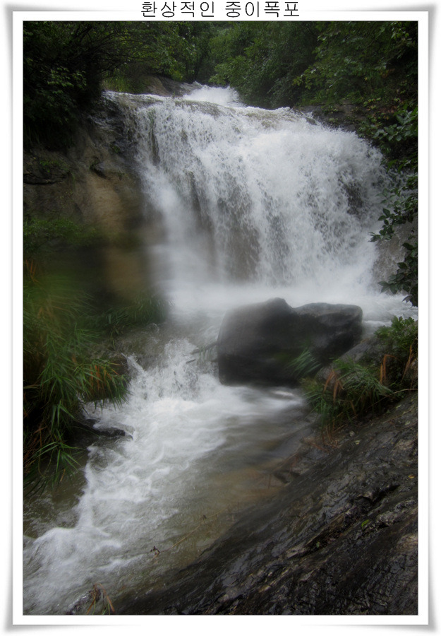 136FC54E5039EF962D122D