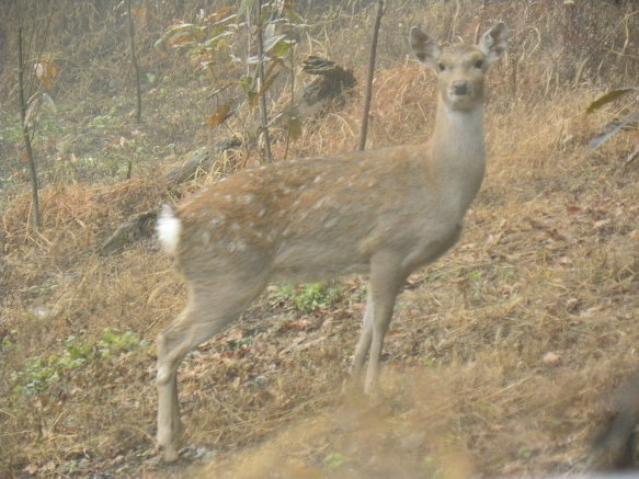 140CB34B4ED306BF36BDD4