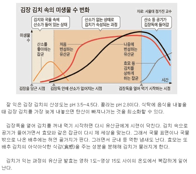  김치 박사