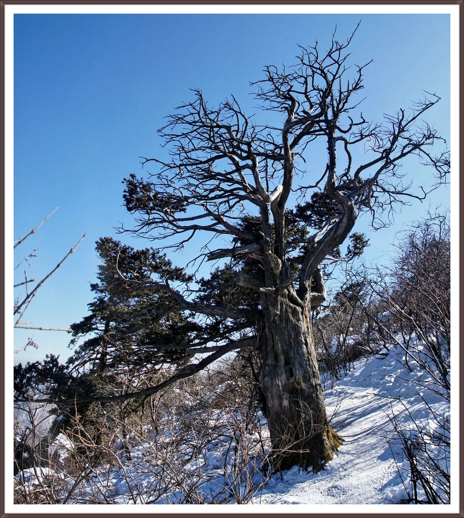 장터병천순대 이미지