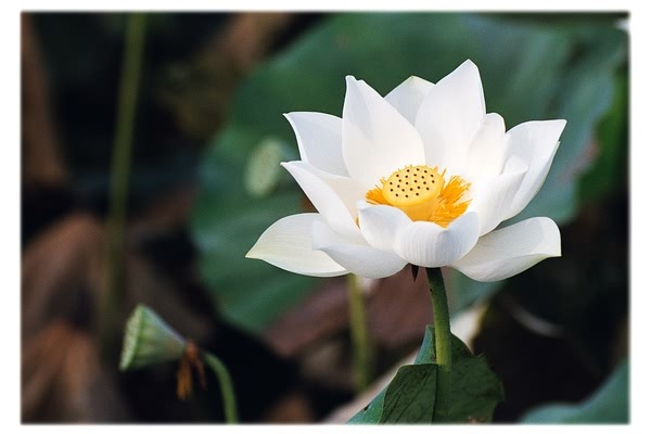 구두수선방 이미지