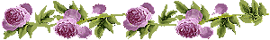 152741504D57C1E316CC68