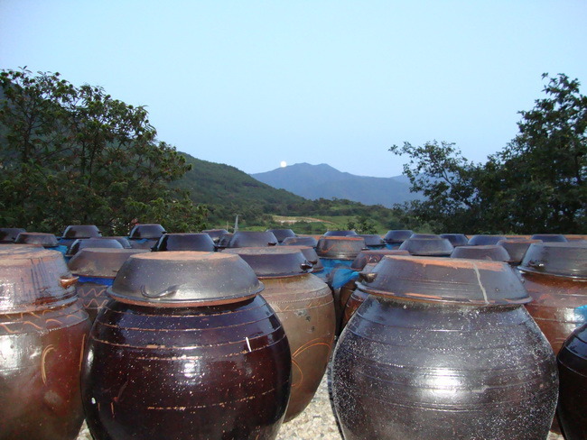 장독대 건너 멀리 보이는 산허리에 보름달이 걸쳤다!