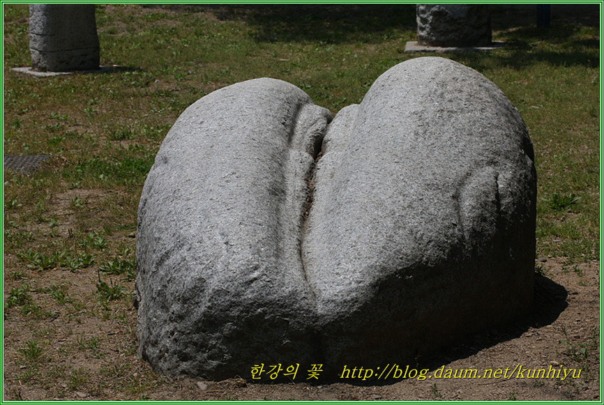 성기숭배신앙-한강의 꽃