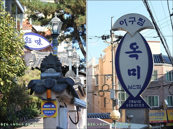 복어칼국수 이미지