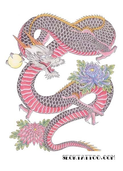 용 이미지