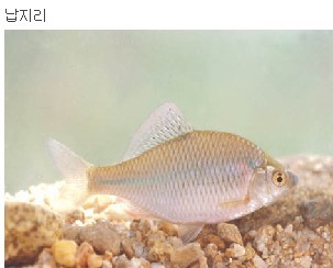 민물나라 이미지