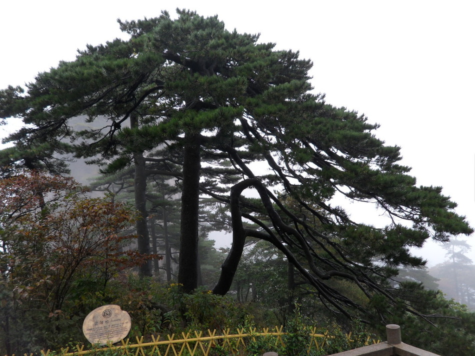 황산 트레킹을 마치며(10.10.13)