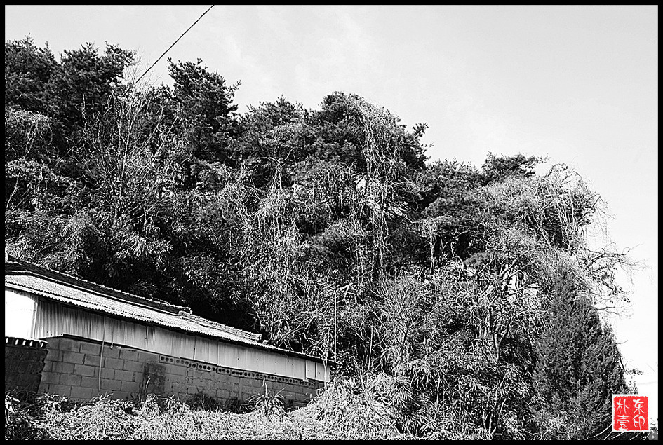 봄이오는 길목에 맞장뜨러 나가는 나쁜남자...