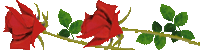 1705594C4D57C240142008