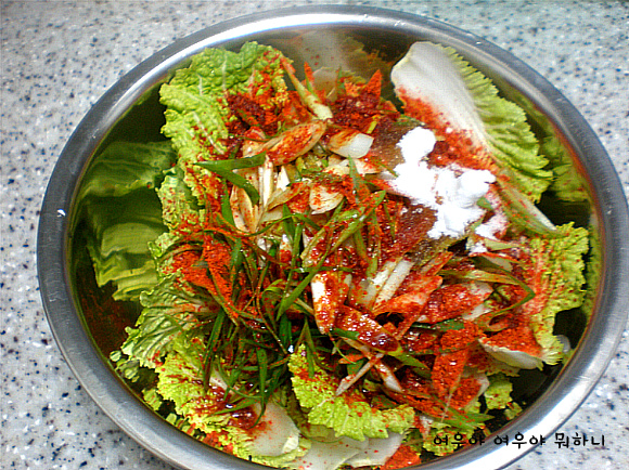 겉절이로 나물로 찌개로-겨울보약 봄동으로 차린 저녁상^^