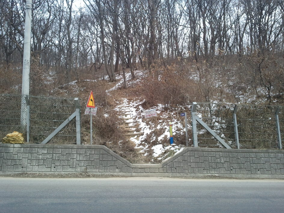 여우쉼터 이미지