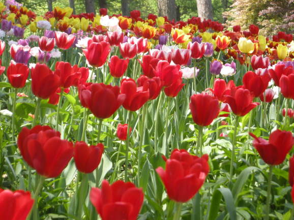 Ʃ�︳����