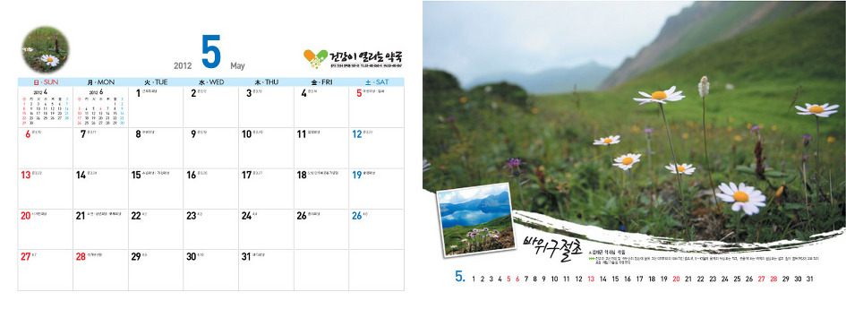 야생화달력탁상용2012년-백두산속야생화
