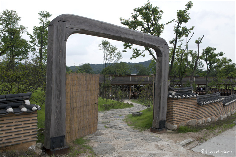 월랑월랑 이미지