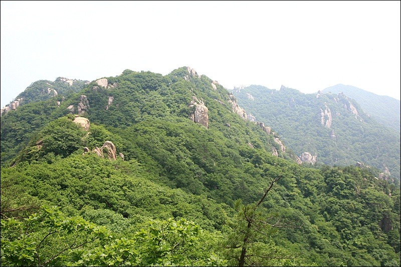 1860C0334FF373581332E5