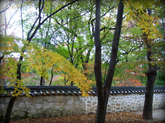 192E6B144AF29BEF945F1F