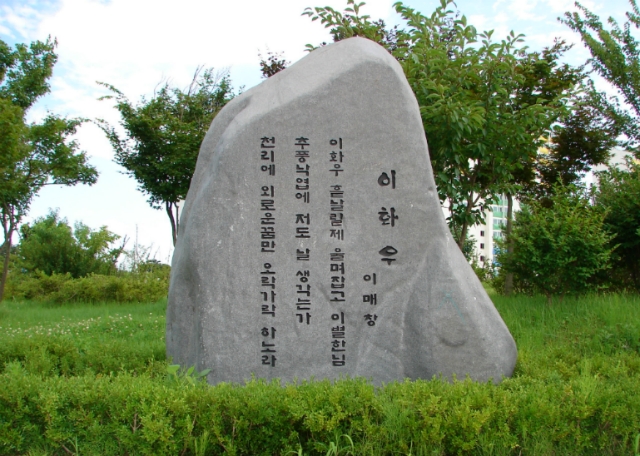 이화우 이미지