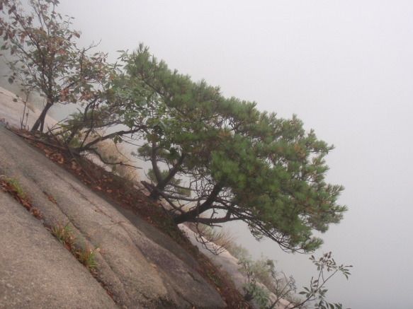 산행기 - 추석 전날의 북한산 정경(情景)