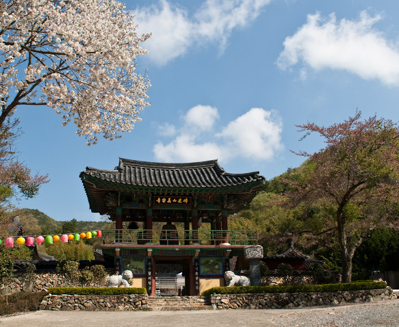 장안사 이미지