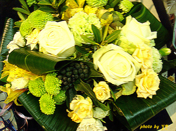 1979CA204BB354122CD3A7