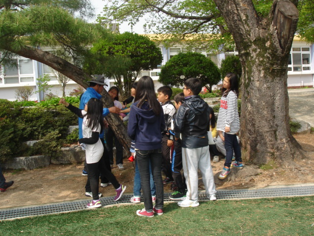 생림초등학교 이미지