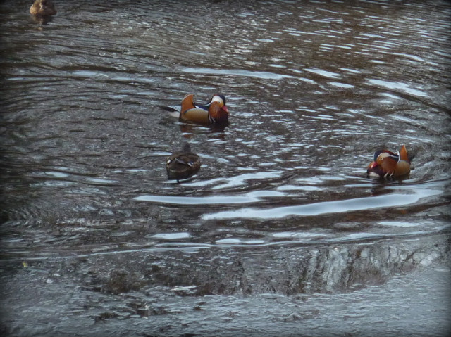 201B12164B28D38B2C7FD0