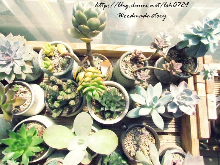 가을.....결실의 계절 혹은 상실의 계절