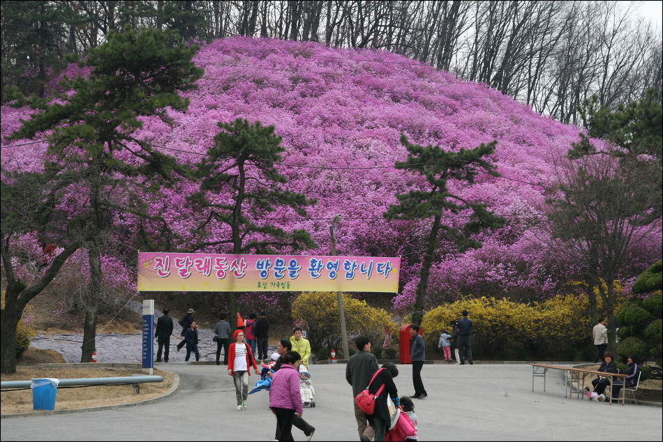 (주)효성 안양공장 이미지